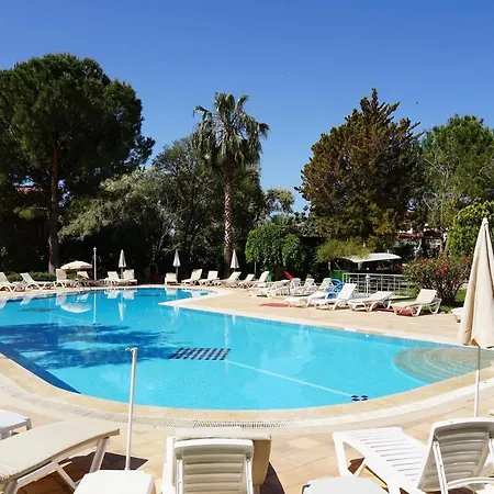 Marcan (adults Only)