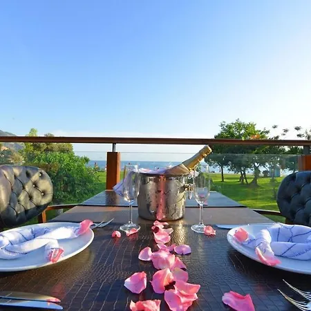 Marcan (adults Only) オルデニズ