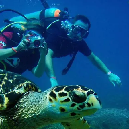 Marcan (adults Only) オルデニズ