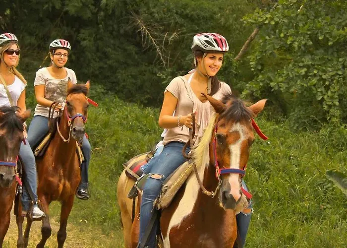 Отель Marcan (adults Only) 3*